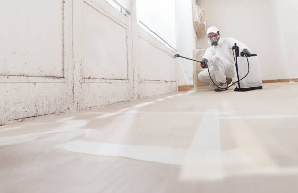 24/7 Emergency Mold Testing experts in Livingston, TN